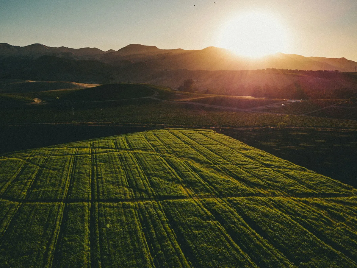 Golden California farmland with irrigation