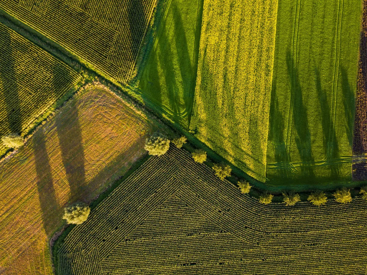 Agricultural compliance review in the field